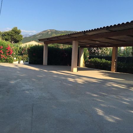 Residence Villa Branda Calvi  Buitenkant foto