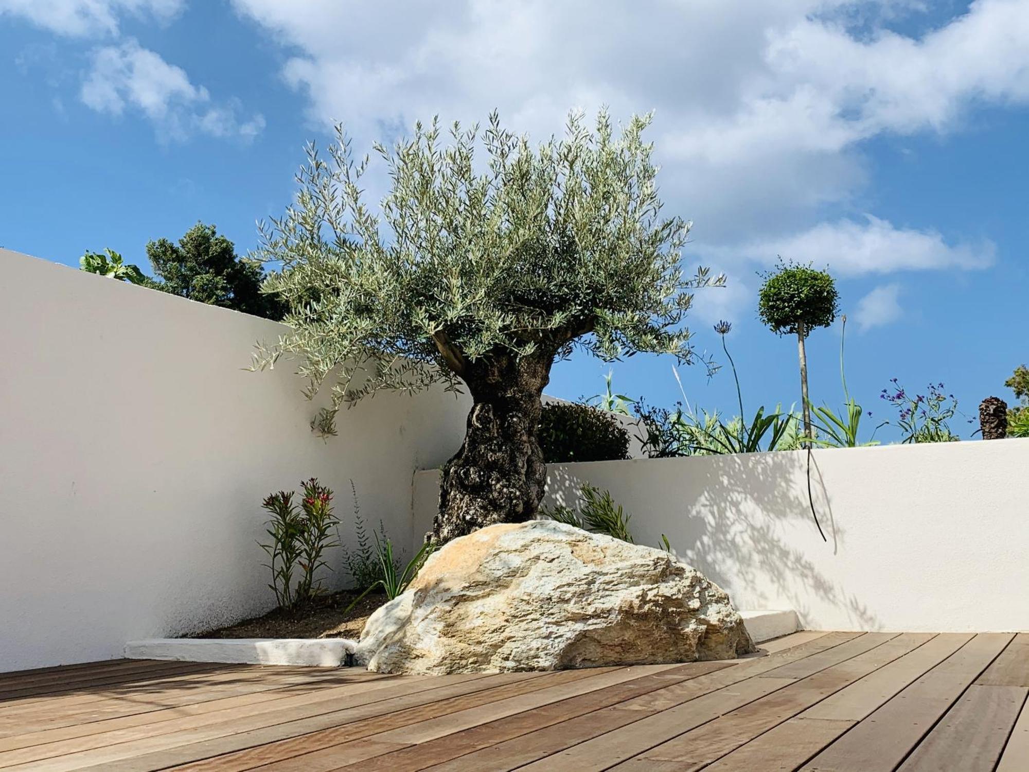Residence Villa Branda Calvi  Buitenkant foto